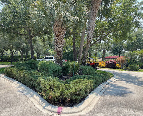 Sanctuary Point cul-de-sac plantings before renovation