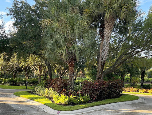 Sanctuary Point cul-de-sac with new colorful plantings after renovation