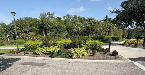 River Village Way intersection island with new plantings after renovation