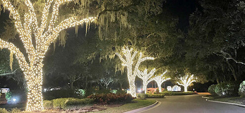Live oaks lit at night at Verandah's main gate entrance